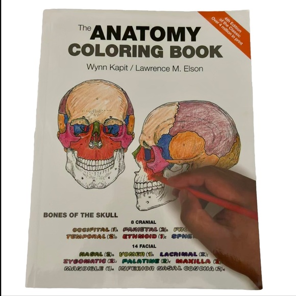 The Anatomy Coloring Book (SOME PAGES ALREADY COLORED) - Picture 1 of 2